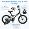 Children’s Bicycle with Hand and Coaster Brake Adjustable Saddle Steel Frame Ideal for Boys and Girls